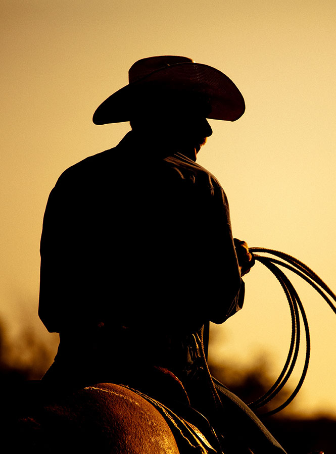 Silhouette of a cowboy at sunset